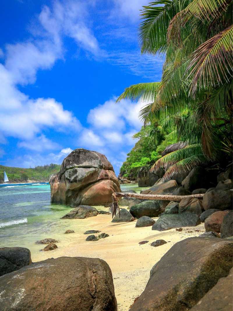 Tropischer Strand auf den Seychellen mit großen Granitfelsen, Palmen und kristallklarem Wasser unter blauem Himmel