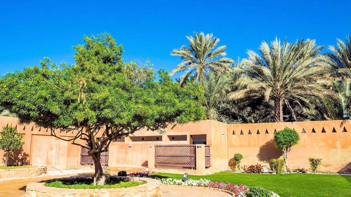Traditioneller Innenhof mit grünem Baum, Palmen im Hintergrund und Blumenbeeten, umgeben von einer sandfarbenen Mauer unter blauem Himmel